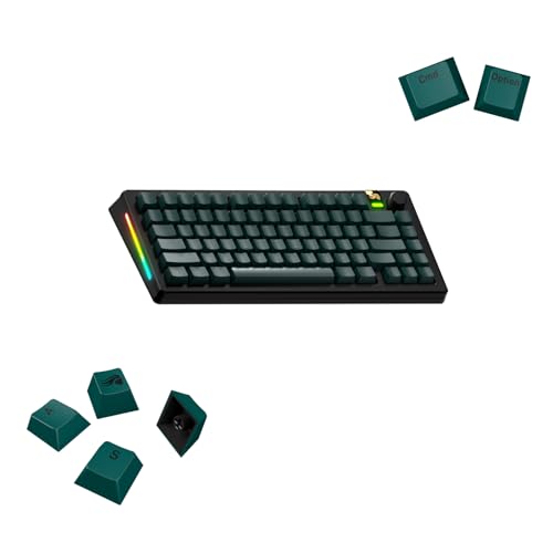 GLORIOUS Gaming - GPBT Basics (PBT Keycaps), Totem Green, No Fade Dye-Sublimated, for Custom Mechanical Keyboards, Fits 100%, 75% 65% 60%, Fits ANSI & ISO, Supports Windows & macOS - English (US)