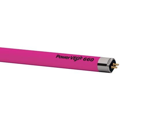 Eye PowerVEG 660 2 ft 24 watt HO T5 (24/Cs)