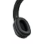 Sony RF995RK Wireless RF Headphones (2017 model), 9.8 x 7.2 x 13.5 inches, 2.5 lbs, Black