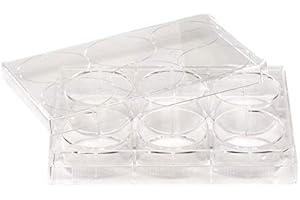 CELLTREAT SCIENTIFIC PRODUCTS 6-Well Cell Culture Plate with Lid; 100/cs