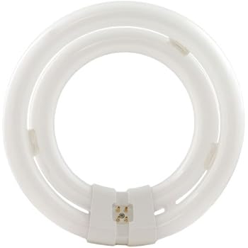 Satco S6508 3000K 40-Watt 4 Pin T9 2C Circline Lamp, Soft ...