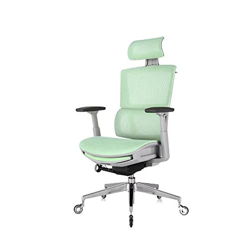 Mua Nouhaus Rewind Ergonomic Office Chair with Footrest and Lumbar Support. Swivel Computer