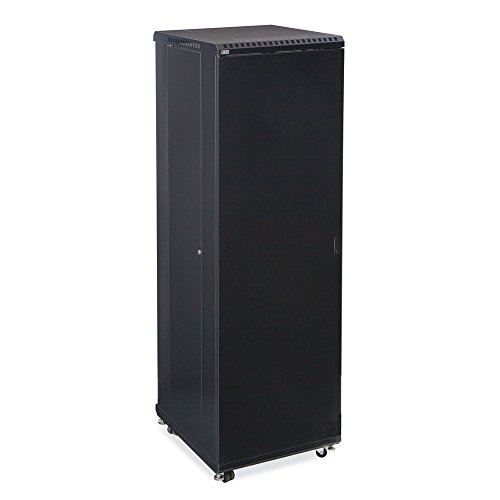 42U LINIER Server Cabinet - Solid/Solid Doors - 24" Depth