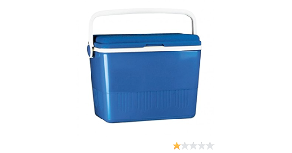 Campos Nevera eléctrica Termo rigida, 25 l : Amazon.es ...
