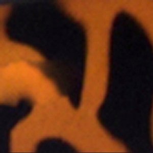 Calabria R314 Unisex Vintage Professor Oval Reading Glasses Incredibly Lightweight and Comfortable in Tortoise +1.50