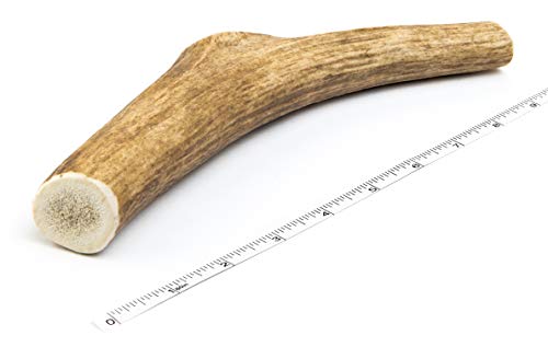 Premium Elk Antlers Dog Bones
