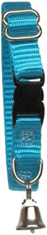 Sandia Pet Products 3/8" Regular Turquoise Ferret Collar with Bell - Adjustable 6 to 8 Inches