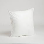 Foamily Premium Hypoallergenic Stuffer Pillow Insert Sham Square Form Polyester, 18" L X 18" W, Standard/White