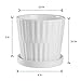 Greenaholics White Plant Pots - 6 Inch Ceramic Flower Planters Indoor with Drainage and Attached Saucers for Orchid or Herbs Small Modern Round Pot, Set of 2