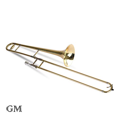 Apelila Gold Bb Tenor Trombone, Tuner, with Hard Case Mouthpiece Cleaning Kit & Care Kit Standard Student Beginner Brass Trombone