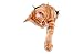 Winston & Bear 3D Cat Stickers - 2 Pack - Reaching Ginger Decals for Wall - Orange Cat Stickers for Car - Fridge - Toilet - Room - Retail Packaged Orange Cat Gift