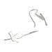 NOVICA Artisan Handmade Sterling Silver Drop Earrings Shining Dove from Thailand No Stone Animal Themed Bird [1.3 in L x 0.5 in W] ' Friendly Doves'