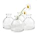 CHIVE ‘Loft’ Glass Bud Vases for Flowers — Set of 10 Clear Round Bottles — Super Cute Wedding Decor Centerpieces — Premium Quality & Made to Last
