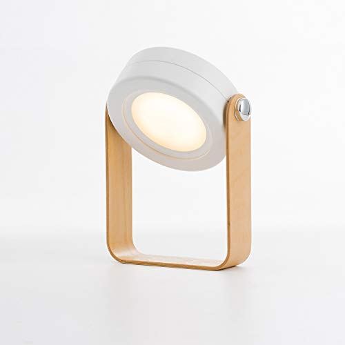Camping Lantern, Emergency Light, Camping Light, Lanterns Battery Powered LED, Camping Lights and Lanterns Water Resistant for Power Outage, Hurricane   