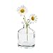 CHIVE ‘Loft’ Small Mini Flower Vases - Clear Glass Bud Vases, Set of 10 - Cute Vintage Rustic Centerpieces for Wedding, Events & Home - Premium Quality, Designed to Last