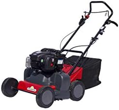 42 cm width, BRIGGS & STRATTON OHV Engine 125 cc Scarifier