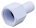 Attwood Corporation 3899-3 Straight Threaded Barb Fitting Connector