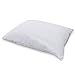Protect-A-Bed Premium Waterproof Pillow Protector, Standard Pillow Size (21x27 in.)