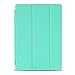 BESDATA Ultra Thin Magnetic Smart Cover Translucent Back Case for 2013 iPad Air + Screen Protector + Cleaning Cloth + Stylus(Mint Green)