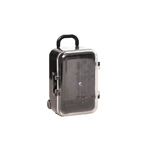 tiny plastic suitcase