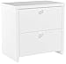Bush Business Furniture Echo Lateral File Cabinet in Pure White with Satin Silver Handles, Home Office Storage for Letter, Legal, and A4-size Documents