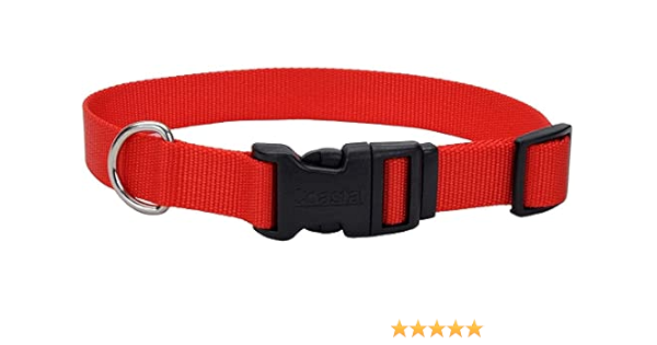 plastic dog collars