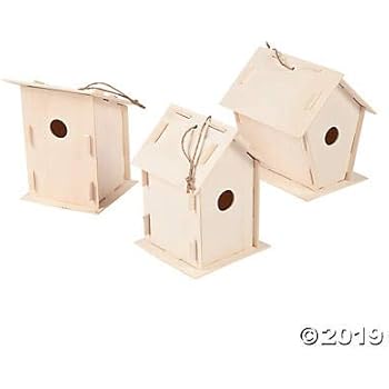 Amazon.com: CraftKitsAndSupplies 100 Wood Bird House Kit - Bulk Pricing