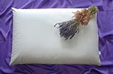 Beans72 Organic Aromatherapy Buckwheat Pillow - Japanese Size (14 inches x 20 inches)