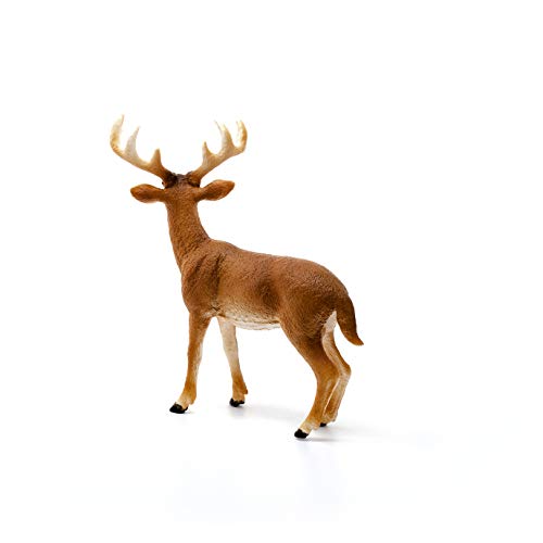 schleich 14818 Weißwedelhirsch, ab 3 Jahren, WILD LIFE - Spielfigur, 11 x 5 x 10 cm – Bild 6