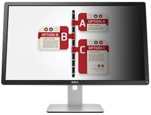 DELTATOUCH PRIVACYVIEW PVD2401 PROFESSIONAL 24IN LED MONITOR W/ INTEGRATED 3M FILTER