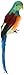 Darice Bird, 12 inch, Feathered Parrot, 12