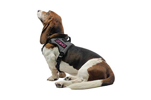 Dogline Custom Patch w/Glitter Letters for Dog Vest, Harness or Collar | Customizable Bling Text | Personalized Patches w/Hook Backing | Name, Agility, Service Dog, ESA | 1 Patch B Pink Text