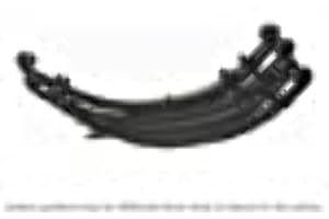 Old Man Emu CS055R Spring