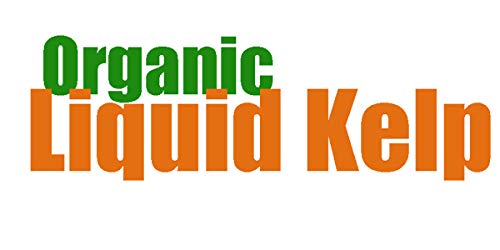 1 Liquid+Natural+Seaweed+Fertilizer+32oz