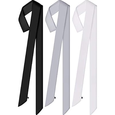 3 Pieces Summer Skinny Scarf Plain Scarves Solid Color Satin Scarf Narrow Scarf Belt Neck Wrist Scarf 3 Pieces Summer Skinny Scarf Plain Scarves Solid Color Satin Scarf Narrow Scarf Belt Neck Wrist Scarf
