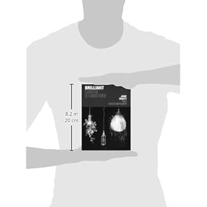 Brilliant: Lights & Lighting (V & A Contemporary)