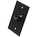 Seismic Audio SA-PLATE5 Black Stainless Steel Wall Plate with Single XLR Female Connector