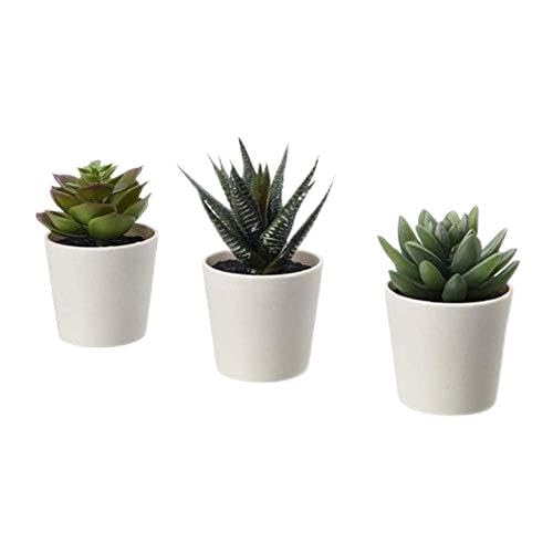 IKEA Fejka Artificial Potted Plant with Pot Indoor Outdoor Succulent / 3 Pack Size 2 ¼ " 3 Pack 203.953.31