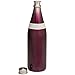 Aladdin Fresco Twst Vac Btl, Amethyst SS Stainless Steel Cafe to Go Bottle | 20oz, 20 oz