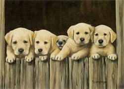 Yellow Lab Puppies Fine Art Blank Greeting Card
