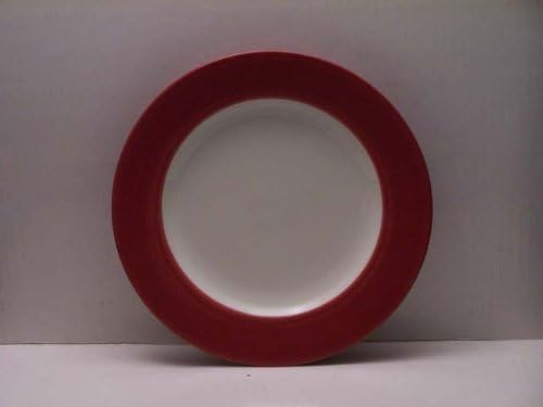 Noritake Colorwave Raspberry Rim Salad Plate