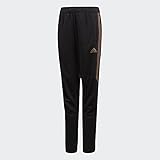 adidas Kids Mens Tiro 17 Training Pants - Metallic (Little Kids/Big Kids)