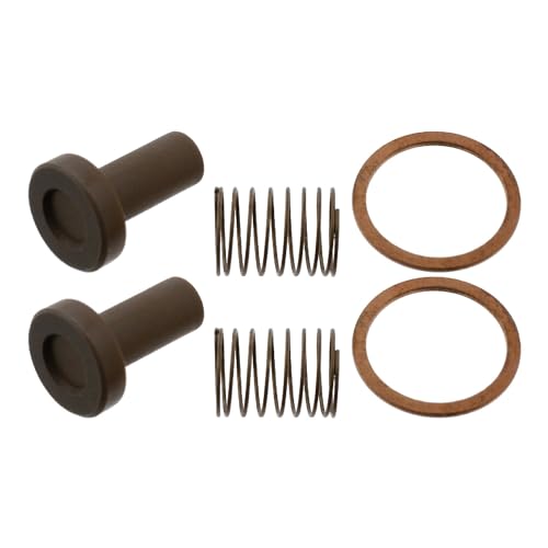 febi bilstein 07879 Valve Repair Kit for fuel pump, pack of one