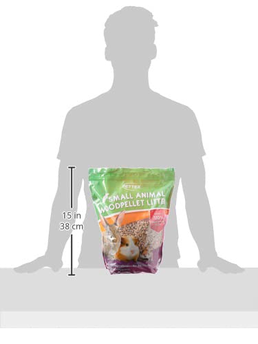 View 4