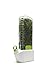 Prepara Herb Savor,Clear, 1 count