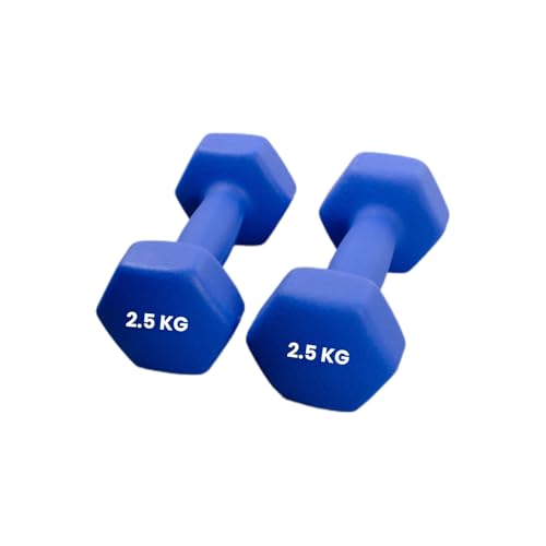 DAYONG Fitness Dumbbell Set of 2, Hexagonal Frosted Dumbbells for Men Women, Home Gym Equipment for Core Strength Training, Exercise Muscle.