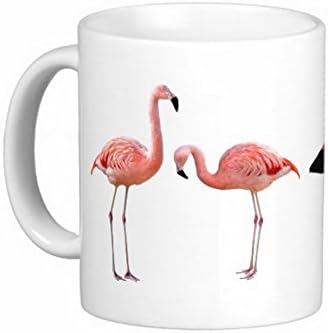 Amazon Co Jp チリーフラミンゴとベニイロフラミンゴのマグカップ フォトマグ 世界の野鳥シリーズ ホーム キッチン Amazon Co Jp チリーフラミンゴとベニイロフラミンゴのマグカップ フォトマグ 世界の野鳥シリーズ ホーム キッチン