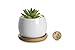 Opps White Ceramic Cute Succulent Cactus Plant Pot with Bamboo Tray – Pack of 3