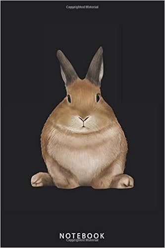 rabbit accessories amazon