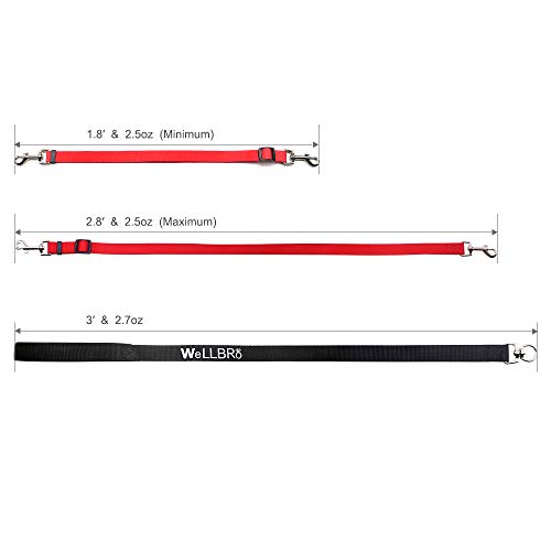 Wellbro 3 in 1 Durable Nylon Dog Leash with Padded Handle, Three- Way Pet Leash with a Coupler, Adjustable and Detachable, Lead for Small, Medium Dogs (Multi-Color)